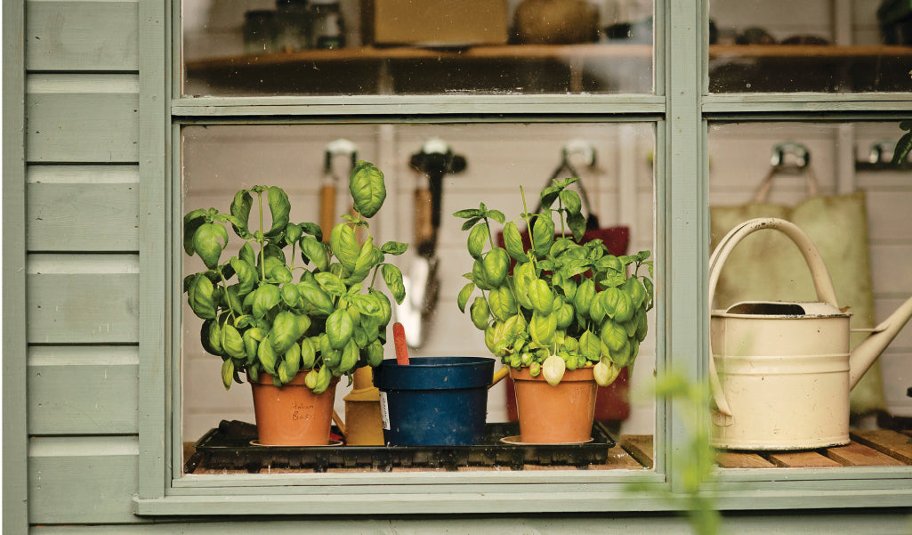 What to Grow in Your Garden in Spring – Lakeland Active